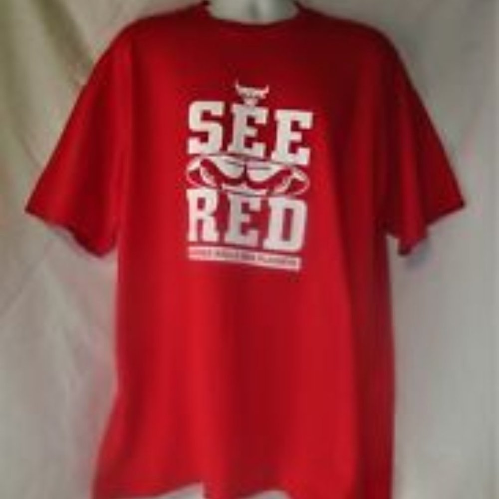 Men's Red Chicago Bulls T Shirt Size XL